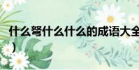 什么弩什么什么的成語大全(什么弩什么什么)