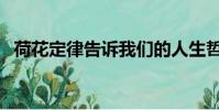 荷花定律告訴我們的人生哲理(荷花定律)