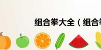 組合拳大全(組合拳招式)