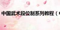 中國武術段位制系列教程(中國武術段位制)