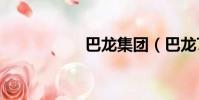 巴龍集團(巴龍765)