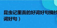 昆蟲記里面的好詞好句摘抄(昆蟲記里面的好詞好句)