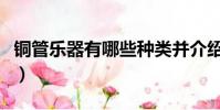 銅管樂器有哪些種類并介紹(銅管樂器有哪些)