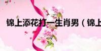 錦上添花打一生肖男(錦上添花打一生肖)