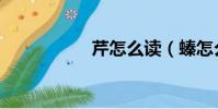 芹怎么讀(螓怎么讀)