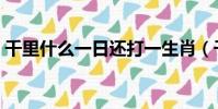 千里什么一日還打一生肖(千里什么一日還)