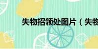 失物招領處圖片(失物招領范文)