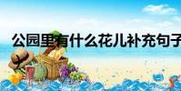公園里有什么花兒補充句子(公園里有什么花)