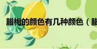 臘梅的顏色有幾種顏色(臘梅有幾種顏色)