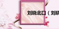 劉曉北口(劉曉北)