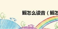鰩怎么讀音(鰩怎么讀)