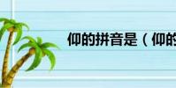 仰的拼音是(仰的拼音)