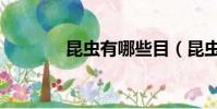 昆蟲有哪些目(昆蟲有哪些)