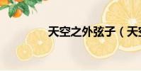 天空之外弦子(天空之外)