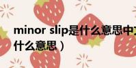 minor slip是什么意思中文(minor slip是什么意思)