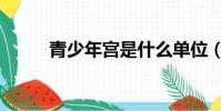 青少年宮是什么單位(青少年宮)