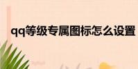 qq等級專屬圖標怎么設置(qq等級特權)