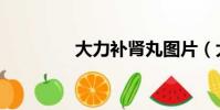 大力補腎丸圖片(大力補)
