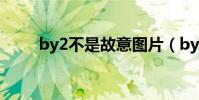 by2不是故意圖片(by2不是故意)