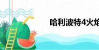 哈利波特4火焰杯