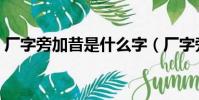 廠字旁加昔是什么字(廠字旁與什么有關系)