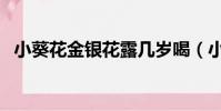 小葵花金銀花露幾歲喝(小葵花金銀花露)