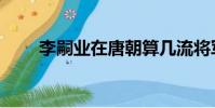 李嗣業在唐朝算幾流將軍(李嗣業)