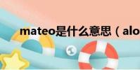 mateo是什么意思(alonso mateo)