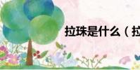 拉珠是什么(拉珠)