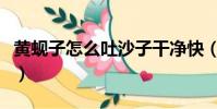 黃蜆子怎么吐沙子干凈快(黃蜆子怎么吐沙子)