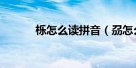 櫟怎么讀拼音(刕怎么讀拼音)
