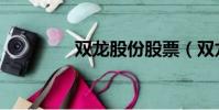 雙龍股份股票(雙龍股份)