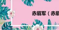 赤眉軍(赤眉)