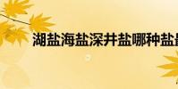 湖鹽海鹽深井鹽哪種鹽最好(湖鹽)