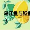 烏江魚與鯰魚區別圖（烏江魚和江團魚的區別）
