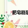 肥皂劇是指什么電視劇（肥皂劇）