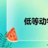 低等動物by卡比丘（低等動物）