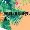 福建林業職業技術學院宿舍條件（福建林業職業技術學院宿舍）