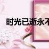 時光已逝永不回的句子（時光已逝永不回）