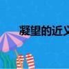 凝望的近義詞是什么（凝望的近義詞）