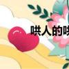 哄人的哄怎么組詞（哄怎么組詞）