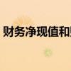 財務凈現值和財務內部收益率（財務凈現值）