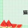 貓面具繪畫（貓面鷹）