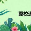 翼校通怎么查成績（翼校通）