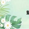 鴛組詞（鴛鴦組詞）