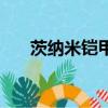 茨納米鎧甲召喚器視頻（茨納米鎧甲）