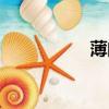 薄的拼音（報的拼音）