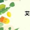 艾德股份（艾德控股）
