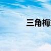 三角梅盆景造型（三角梅盆景）