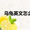 烏龜英文怎么讀turtle（烏龜英文怎么讀）